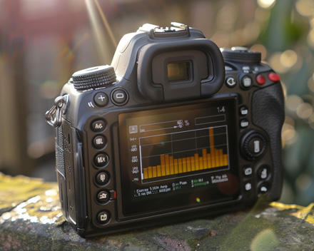 EXIF metadata showing GPS coordinates